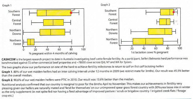 Cash Cow - Seifert Belmonts Leaders in female fertility