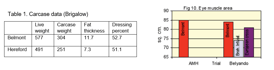 AMH (1994) and Belyando Feedlot Trials