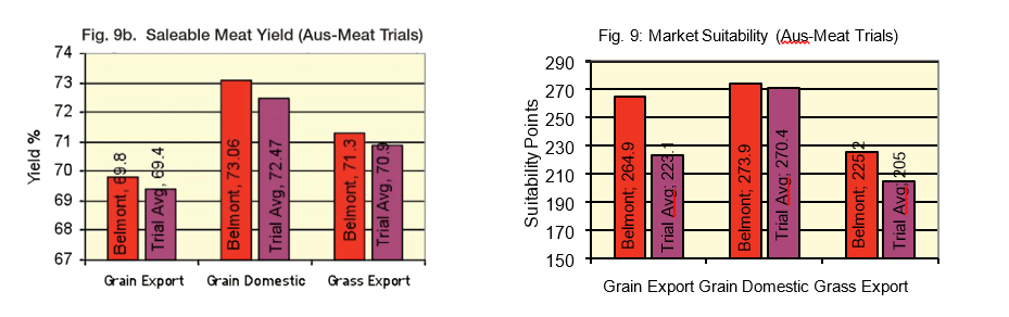“Aus-Meat trials” show that Belmont Reds performed better than the trial average on all the carcase traits.