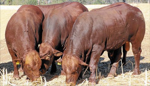 Agricultural Influences