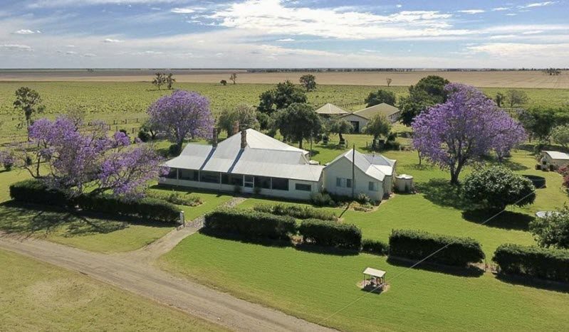 Dalby property purchase will power Belmont Red bull-breeding expansion new homestead