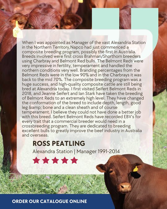 An image of a text testimonial from Ross Peatling