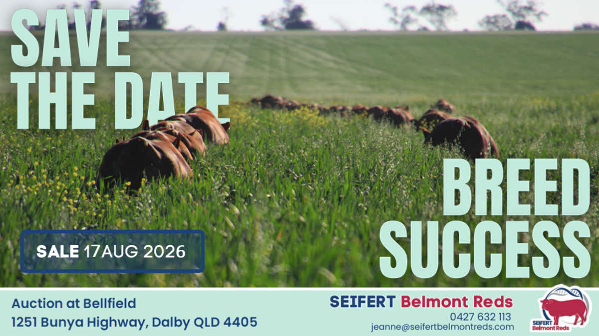 2026 Sale save the date and auction at Bellfield 1251 Bunya Highway, Dalby QLD 4405