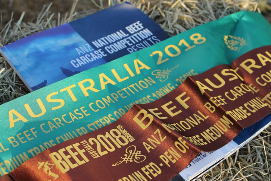 To date, we are please to have placed or won in steer classes, in every carcase competition.