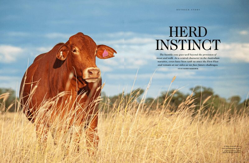 2020 RM Williams magazine front cover