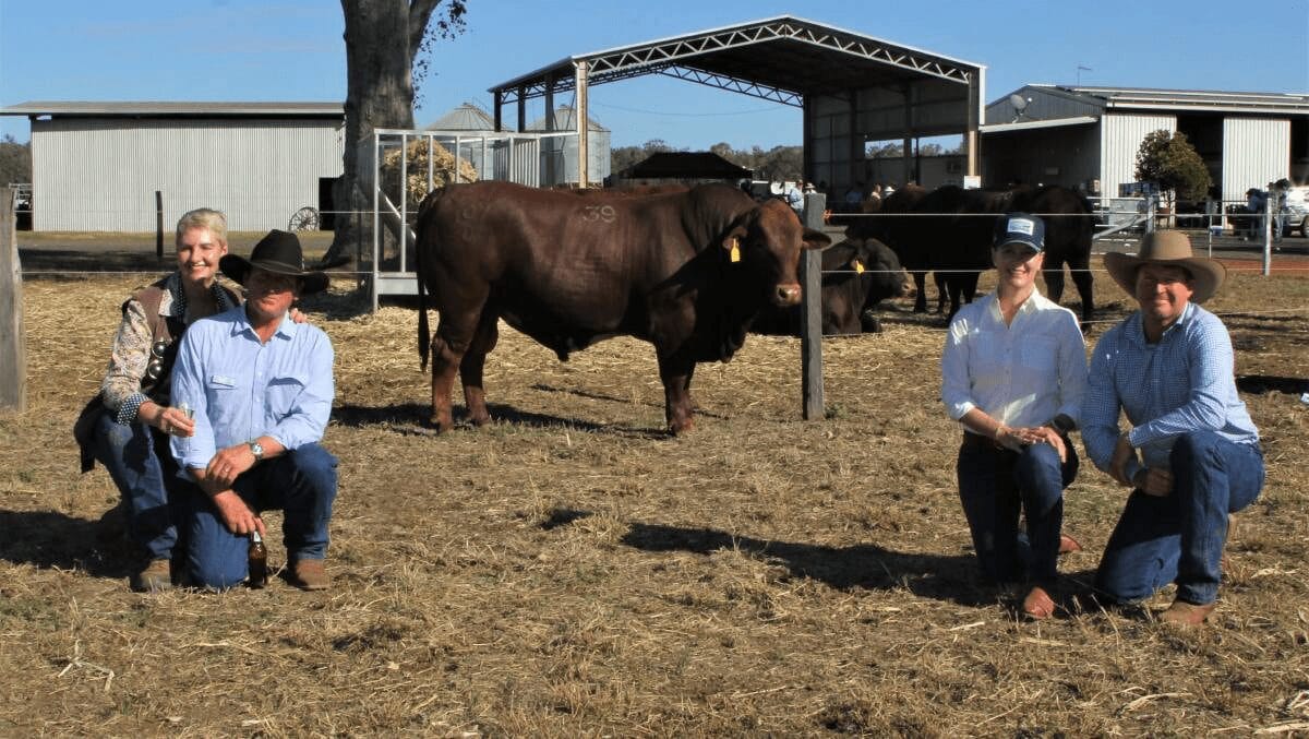 QCL article SEI sale tops $32000, 2021