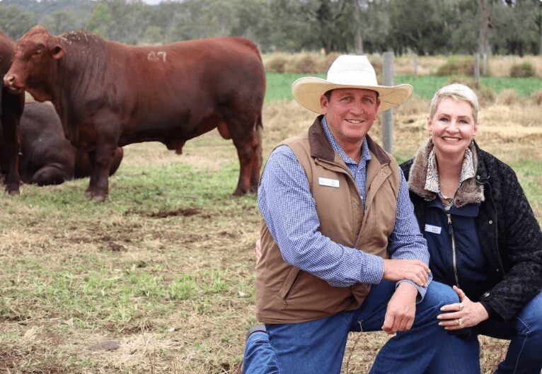 2022 QCL article - Seifert's bulls break records featured image
