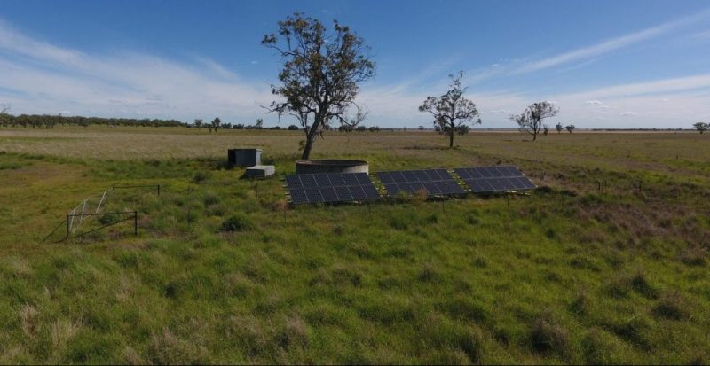 Dalby property purchase will power Belmont Red bull-breeding expansion solar powered bore water