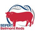 Seifert Belmont Reds Logo